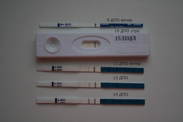 На какой день делать тест после овуляции. Тесты после оплодотворения. Тест на беременность после оплодотворения. Тест на беременность через неделю задержки. Тест на беременность после овуляции.