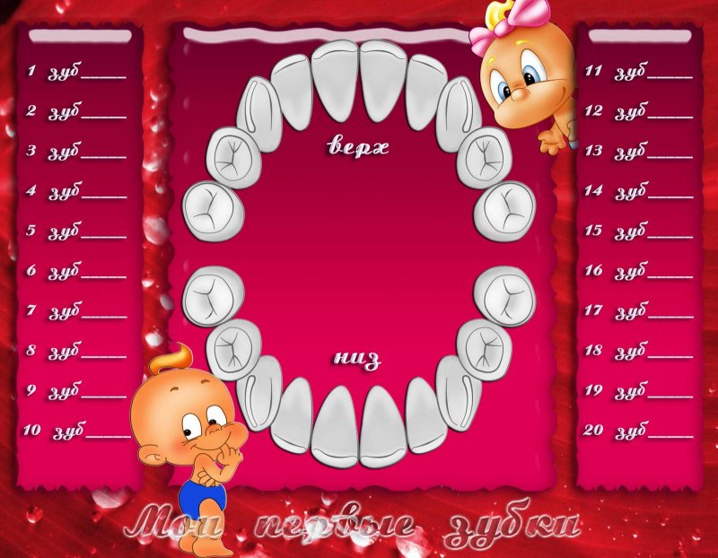 Карта роста зубов у детей