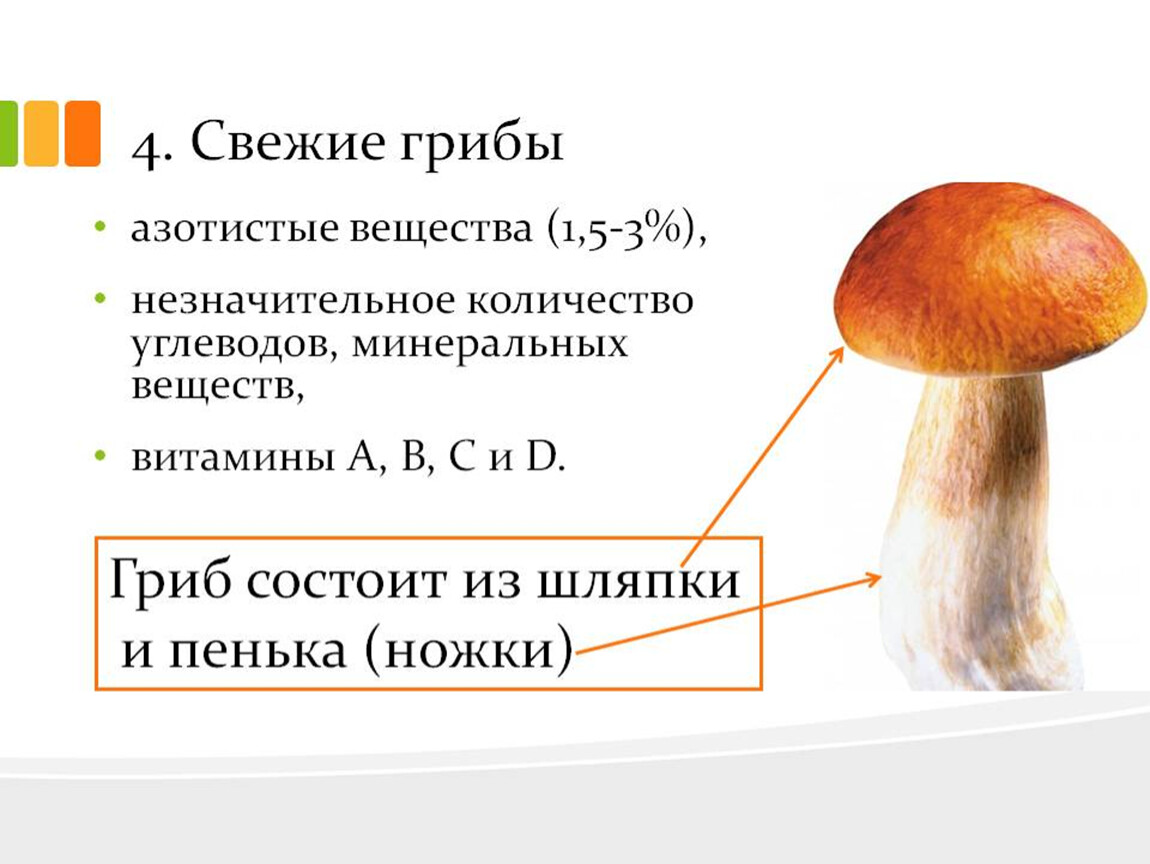 Состав гриба белок