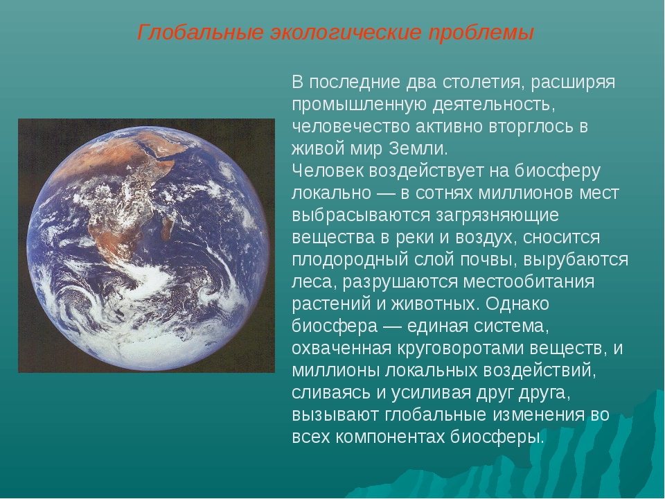 3 глобальные экологические проблемы. Глобальные экологические проблемы. Мировые экологические проблемы. Глобальные проблемы земли. Глобальные экологические проблемы 21 века.