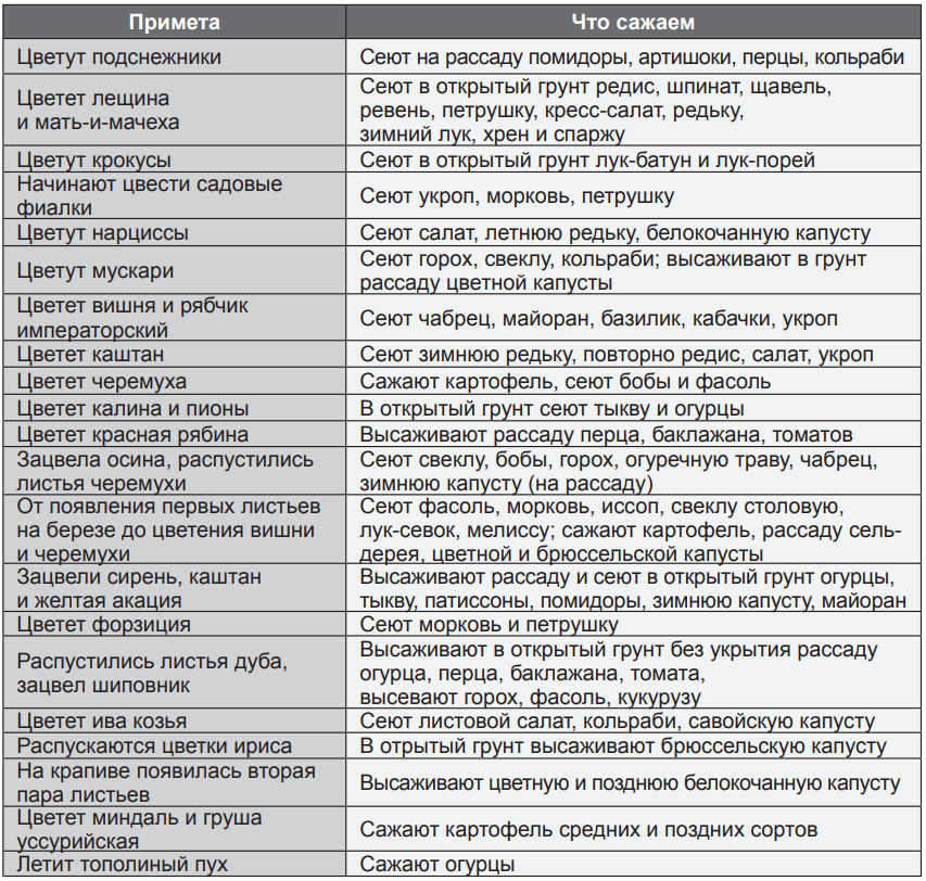 Почему нельзя сажать. Посадки по народным приметам. Народные приметы когда что сажать в огороде. Народные приметы для посадки огорода. Когда что сажать по народным приметам.