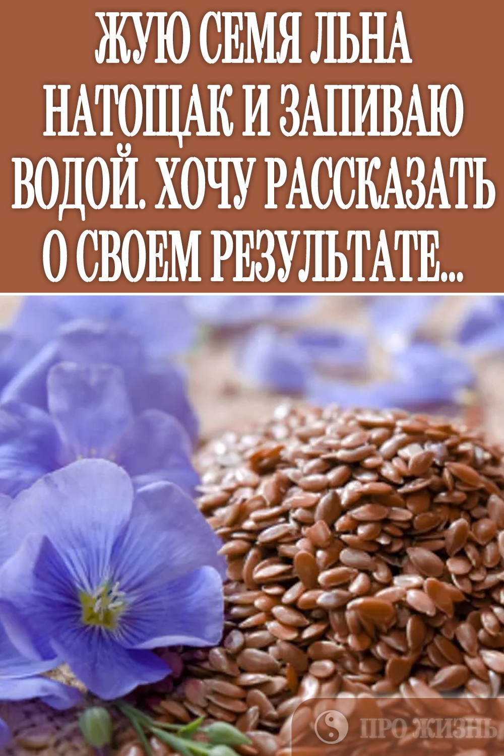 От чего помогает семена. Семена льна полезные. Чем полезны семена льна. Семена льна полезные свойства. Семена льна для организма.