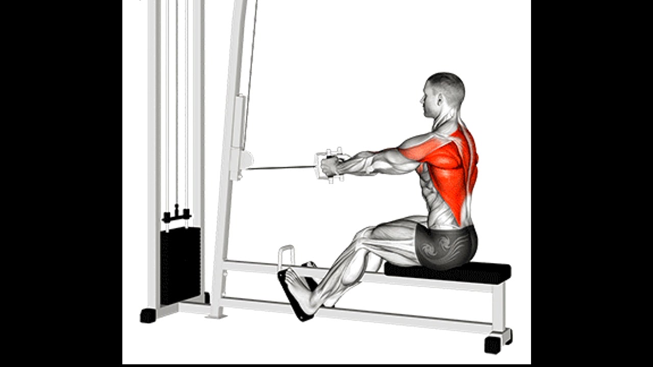 Close Grip Seated Cable Row