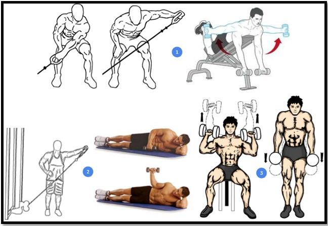 Лучшие упражнения на плечи в тренажерном зале для мужчин на рельеф с картинками