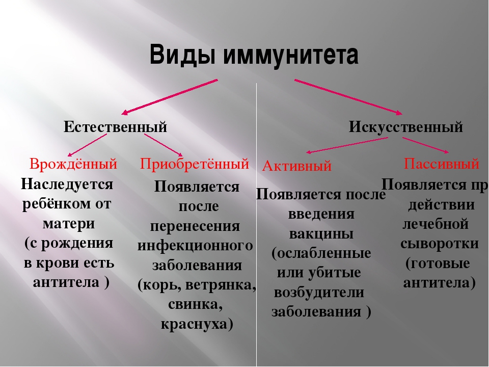 Классификация видов и форм иммунитета схема