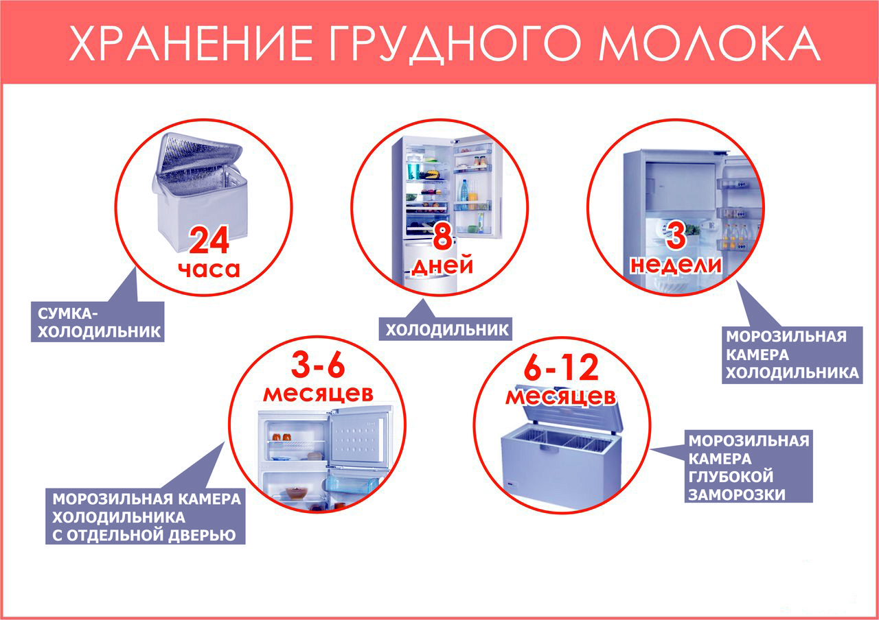 Температура сцеженного молока. Сколько и как хранится грудное молоко. Нормы хранения грудного молока. Хранение грудного молока в холодильнике. Хранение грудного молока после сцеживания.