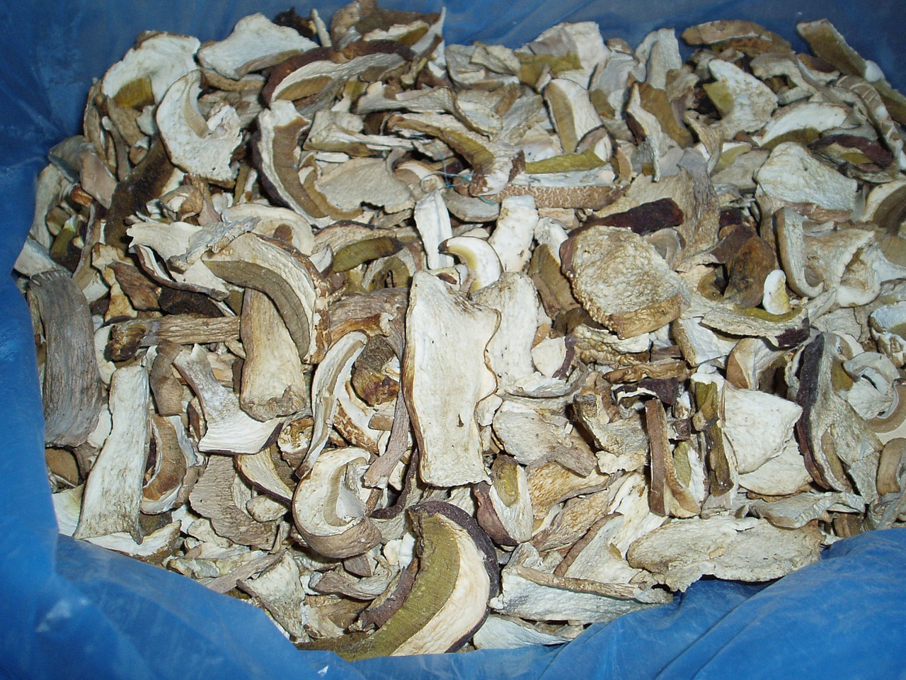 Сушеные Лесные грибы