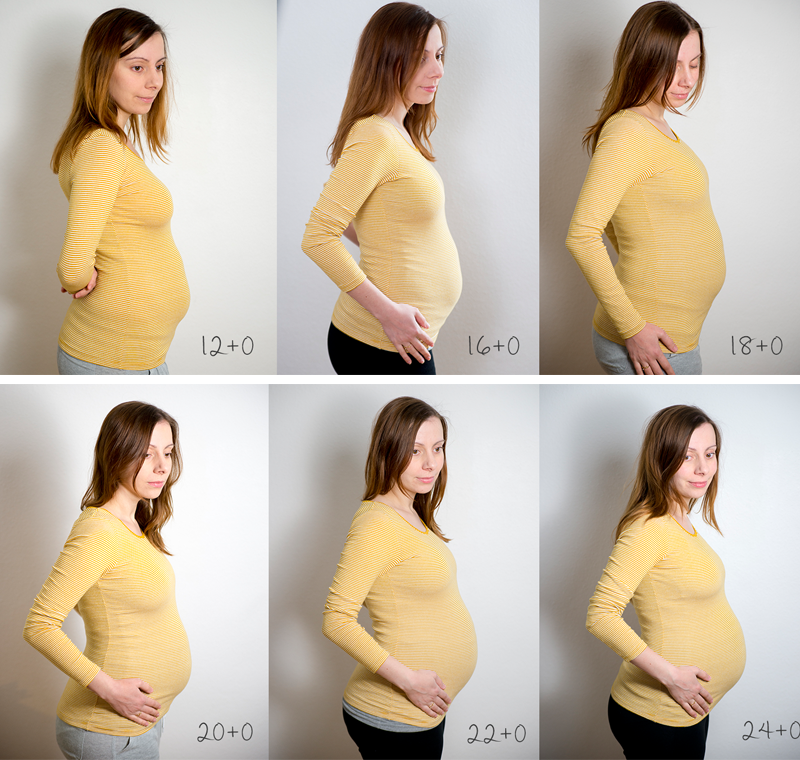 Живот беременной по месяцам фото