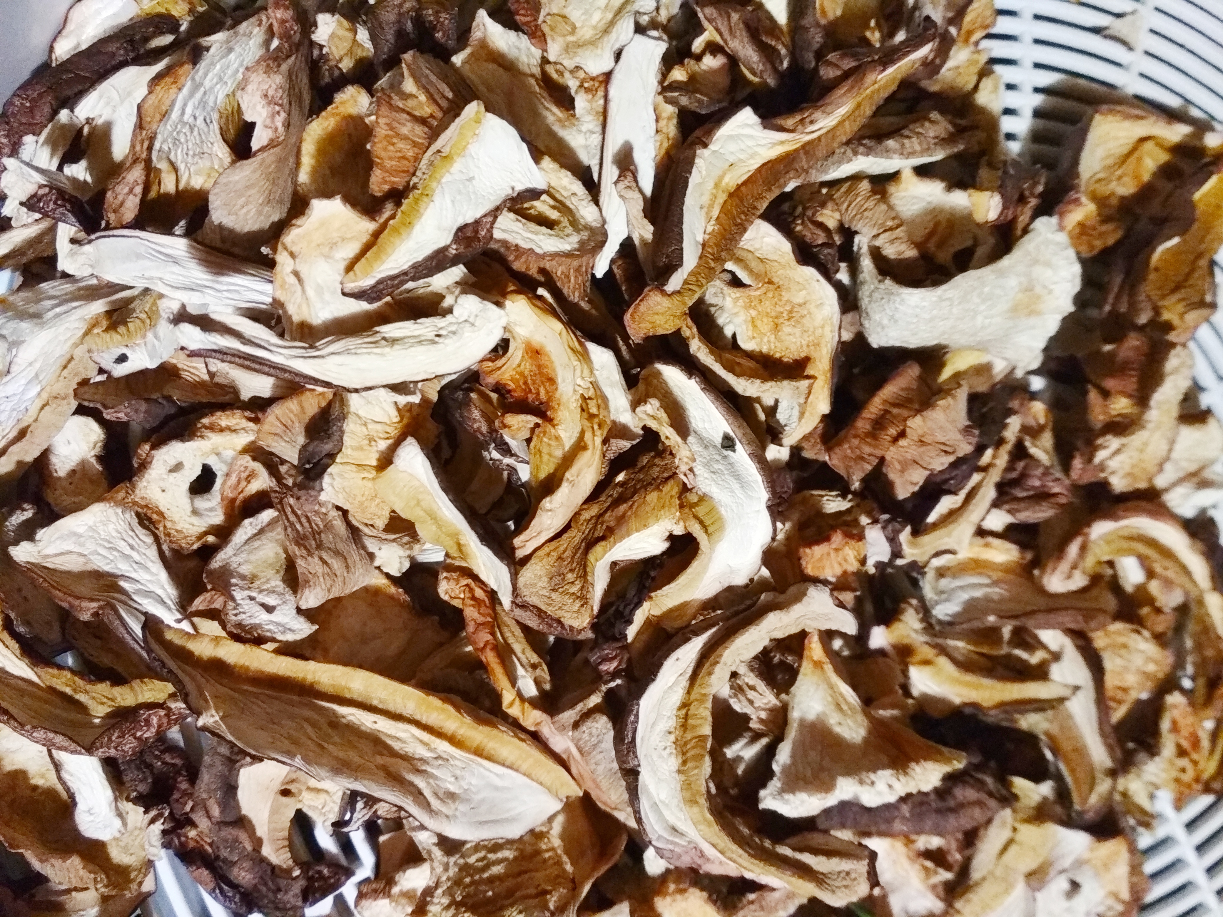 Рецепт из сушеных белых грибов рецепт с фото