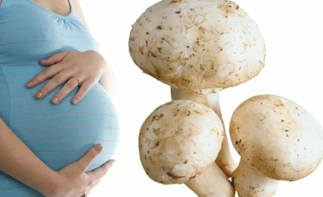 Есть грибы беременной
