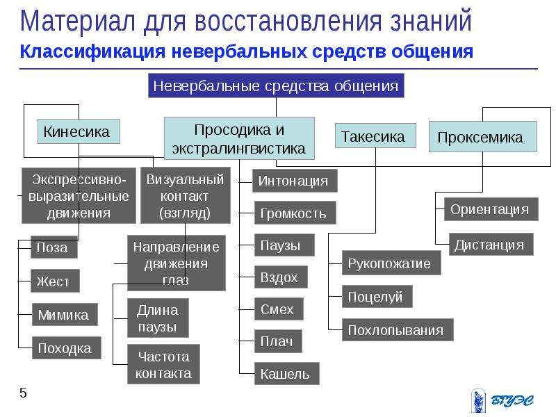 Невербальные средства общения: Такесика, проксемика, кинесика.. Невербальные средства общения просодика Такесика. Аспекты невербальной коммуникации. Кинесика проксемика Такесика просодика и экстралингвистика.