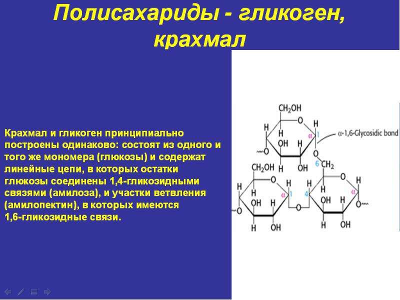 Полисахариды свойства и функции. Структура крахмала и гликогена. Гликоген строение полисахарида. Строение крахмала и гликогена. Крахмал и гликоген формула.