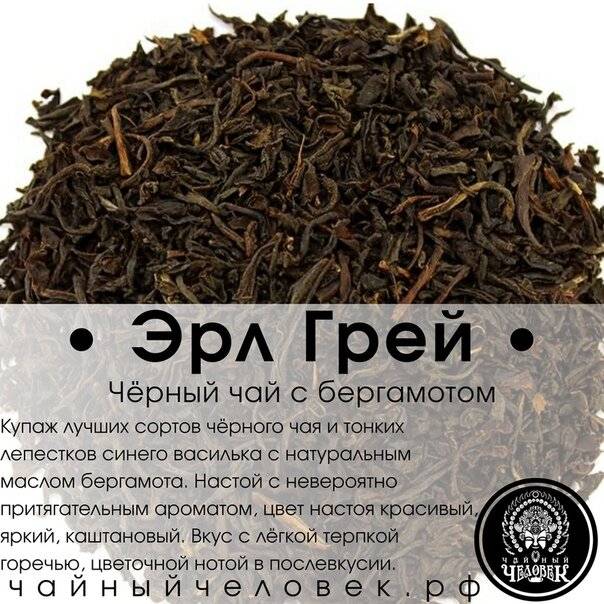 Чай влияющий на потенцию. Черный чай Эрл грей с бергамотом. Эрл грей сорта чая. Зеленый чай с бергамотом. Эрл грей с бергамотом или.