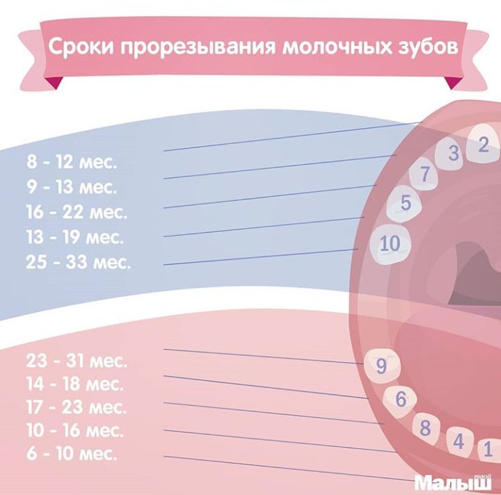 Первые зубки у грудничков когда начинают расти схема и их симптомы