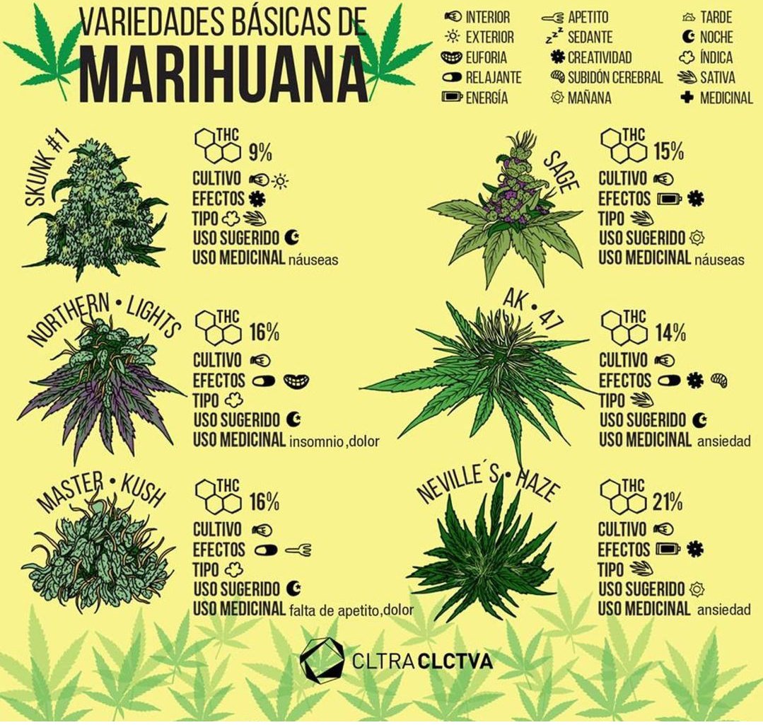 справочник по выращиванию марихуаны