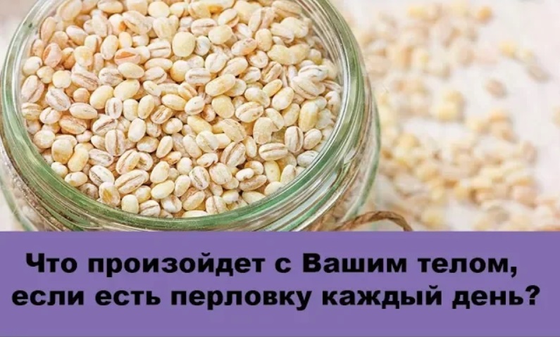 Вред перловой крупы для организма. Перловка каждый день. Клетчатка в перловке. Перловка полезные свойства. Чем полезна перловка.