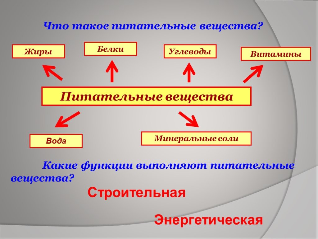 Презентация жиры белки и углеводы 9 класс химия