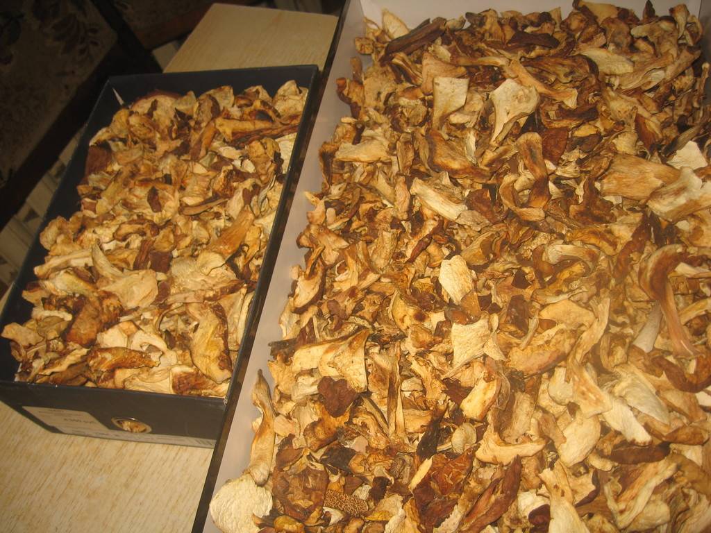 Рецепт с сушеными белыми грибами рецепт с фото