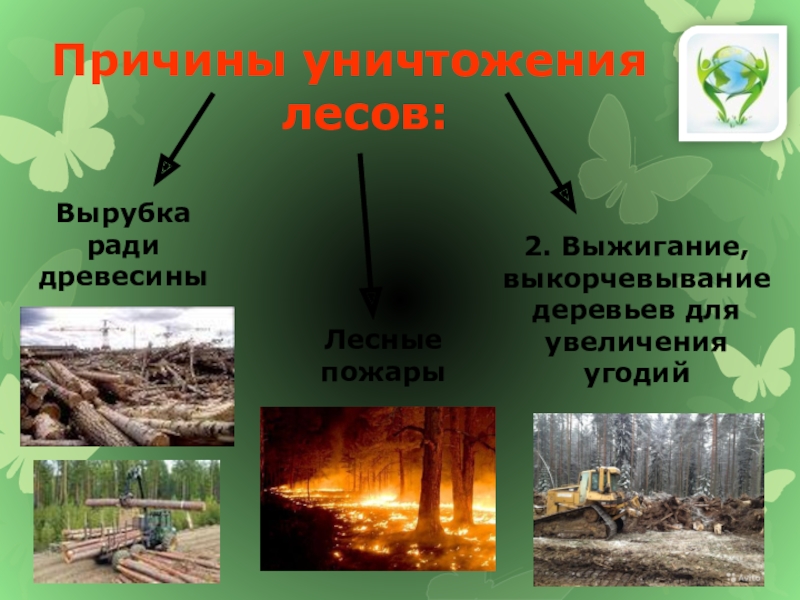 Вырубка лесов как экологическая проблема презентация