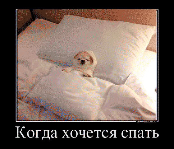 Спать хочется. Когда хочется спать. Не хочу спать. Хочется спать картинки. Весной нет сил и хочется спать