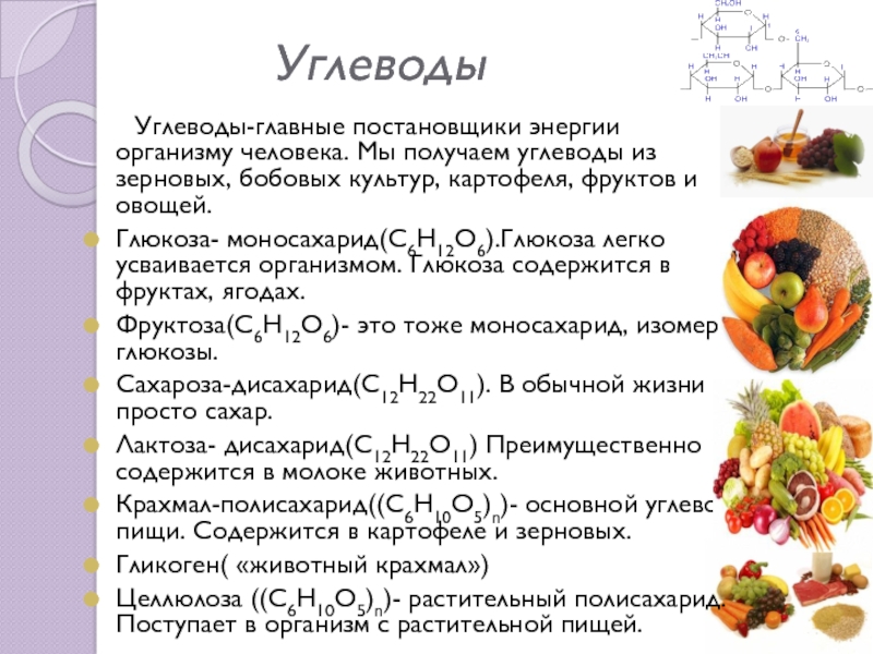 Основным источником энергии в организме человека являются