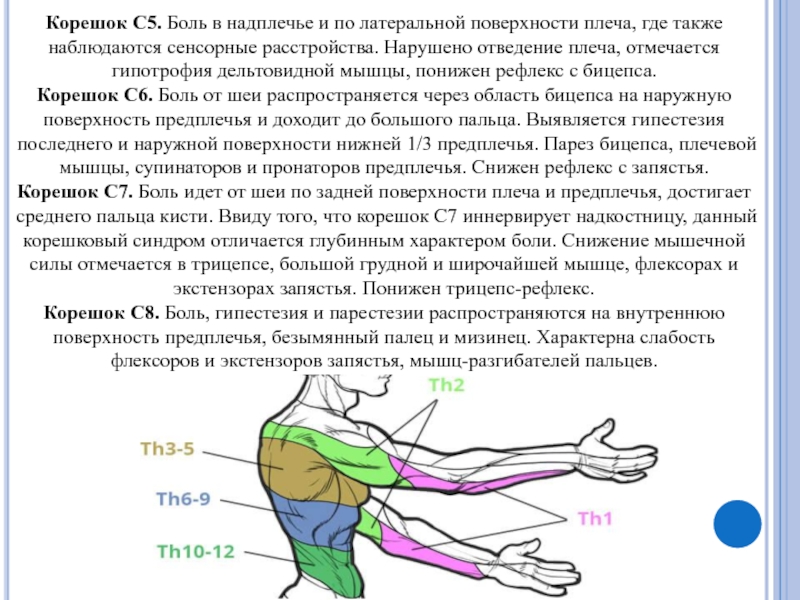 Пробелы в чувствах лечит только план