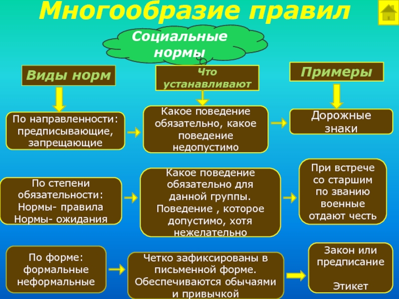 Образцы правила поведения принятые в обществе это