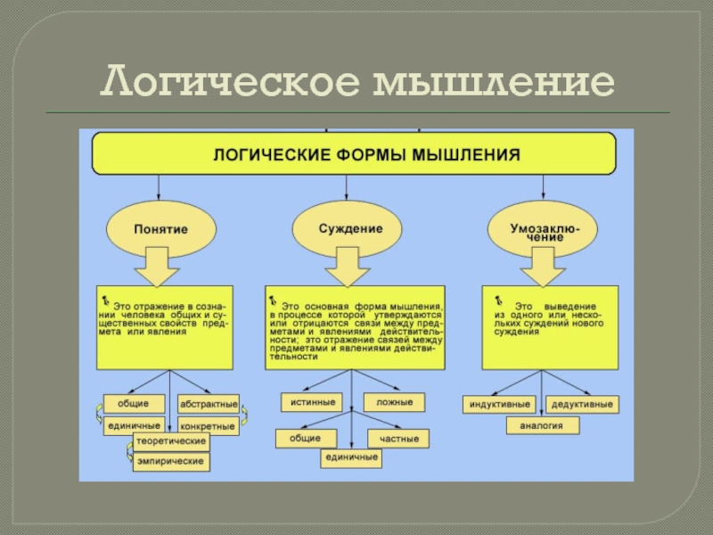 Объединение понятий. Познавательные процессы мышление. Когнитивное мышление доклад. Мышление как познавательный процесс его свойства и виды. Логика урока.