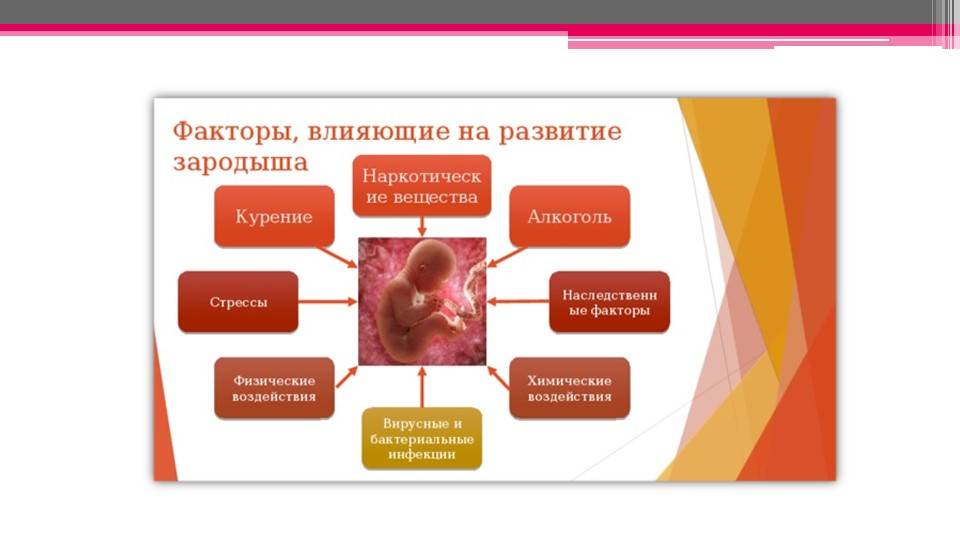 Влияние алкоголя на беременность презентация