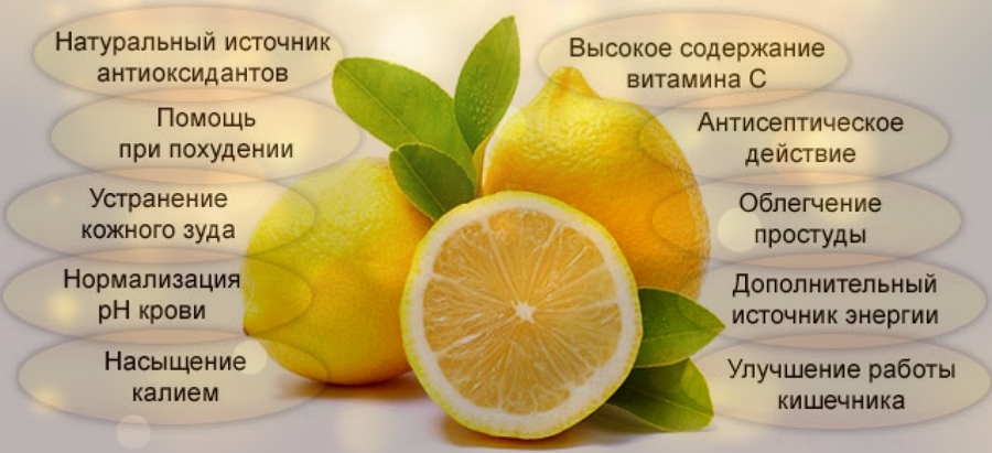 Польза смеси лимона мед. Полезные свойства лимона. Полезные свойства лимона кратко. Картинки полезные свойства лимона. Лимон чеснок и мед для чистки сосудов пропорция.