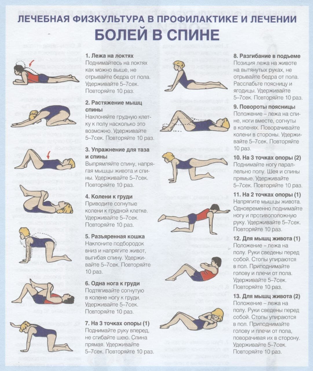 Гимнастика для укрепления мышц спины и позвоночника при грыже