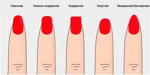 Форма ногтей для маникюра фото с названиями для толстых пальцев