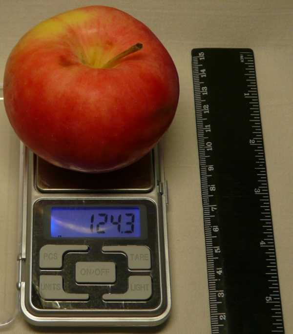 Сколько вес яблока. Яблоко Голден вес 1 шт. Красное яблоко вес 1 шт. Яблоки Семеренко вес 1 шт. Яблоко грамм.